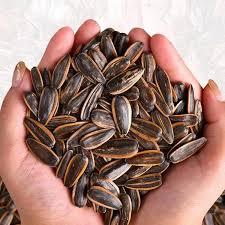 Sunflower Seeds Snack – Walnut Flavour