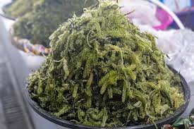 Chopped & Pickled Seaweed