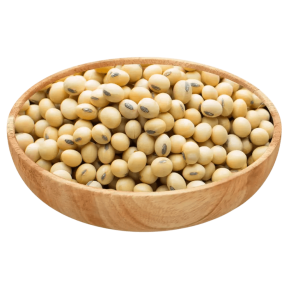 Soyabean