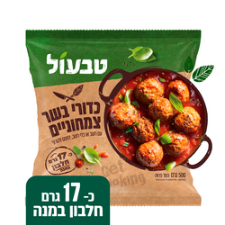 כדורי בשר מן הצומח ט