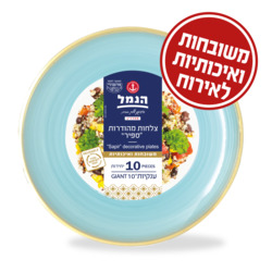 Large Plates Blue Color 10...