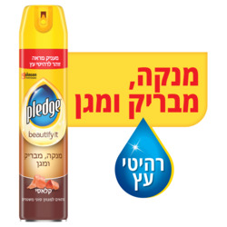 Pledge Beautify It 250ml