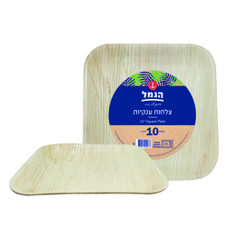 Hanamal Huge Square Pla...