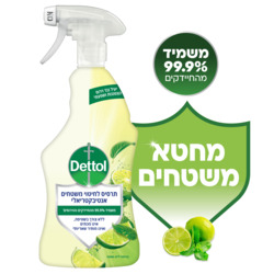 Dettol Anti Bacterial Cleaner  750ml