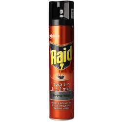 Raid For Ants 300ml