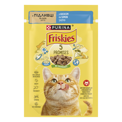 Friskies Salmon Flavored Wet Cat Food in Gravy 85g