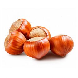 Hazelnut