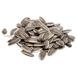Long Sunflower Seeds