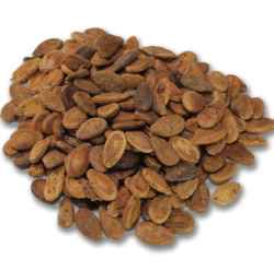 White Seeds Baladi W. Spic...