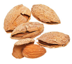 Roasted Almond w/Shell