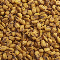 Roasted Corn
