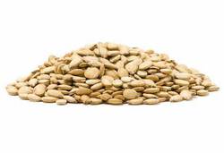 WaterMelon Seeds Baladi...
