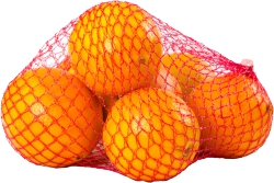 Florida Orange Bag