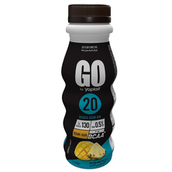 Tnuva Yoplait Mango 250 g