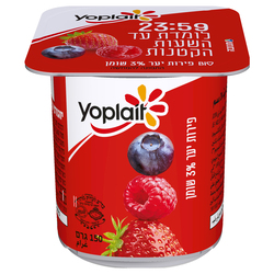 Tnuva Yoplait Fruits Yogurt 150 g