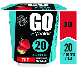 Tnuva Yoplait Go Yogurt with Strwaberry