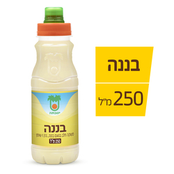 Yotvata  Choco banana Flavor 250 ml