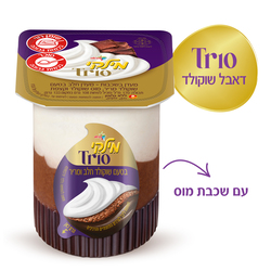 Strauss triple chocolate flavor 170 ml