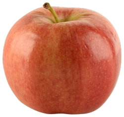 Gala Apple