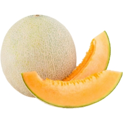 Cantaloupe Melon