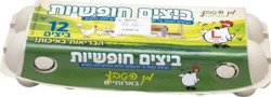 Eggs 12 pcs