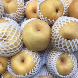 Asian Pears