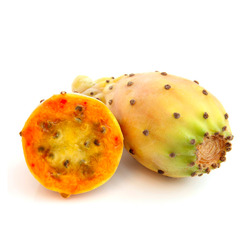 Cactus     (KG)