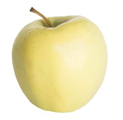 Ginger Gold Apples