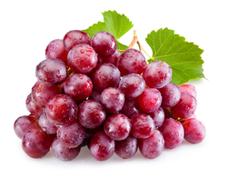 Grape Red