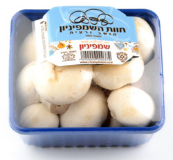 Mushroom (unit)
